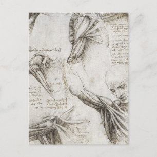 Carte Postale Da Vinci, Léonard - Étude de l'anatomie