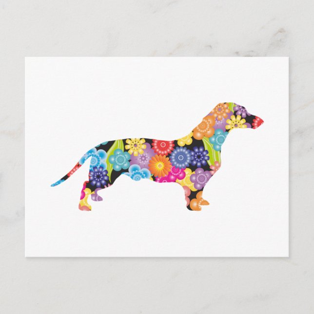 Carte Postale Dachshund (Devant)