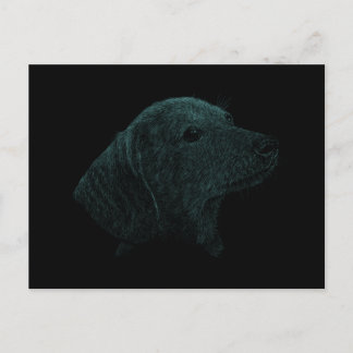 Carte Postale Dachshund