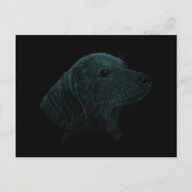 Carte Postale Dachshund (Devant)