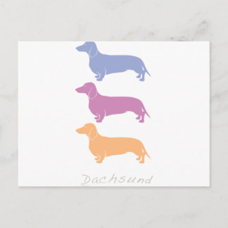 Carte Postale Dachshund