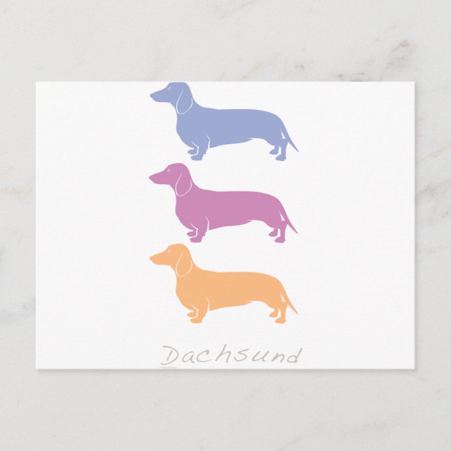 Carte Postale Dachshund (Devant)