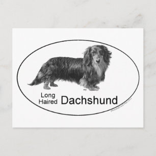 Carte Postale Dachshund