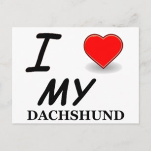 Carte Postale dachshund