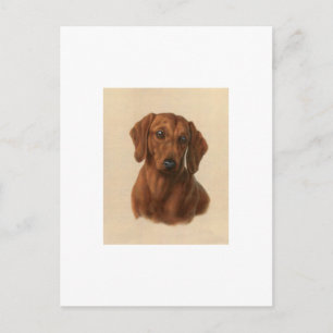 Carte Postale Dachshund