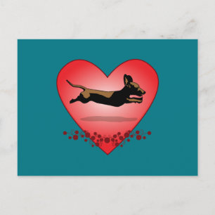 Carte postale Dachshund