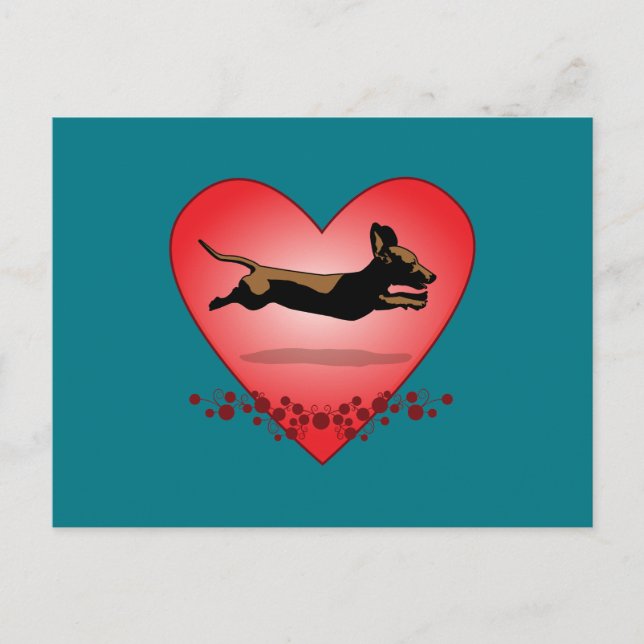 Carte postale Dachshund (Devant)