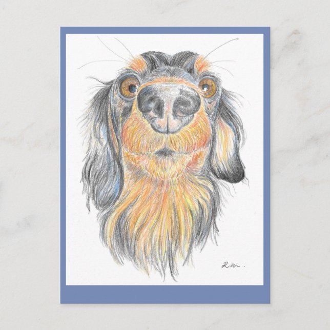 Carte postale Dachshund (Devant)