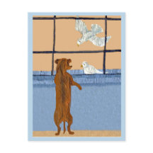 Dachshund à la fenêtre regardant des colombes blan