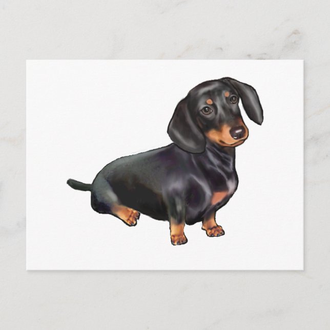Carte Postale Dachshund (A) - Noir et feu (Devant)