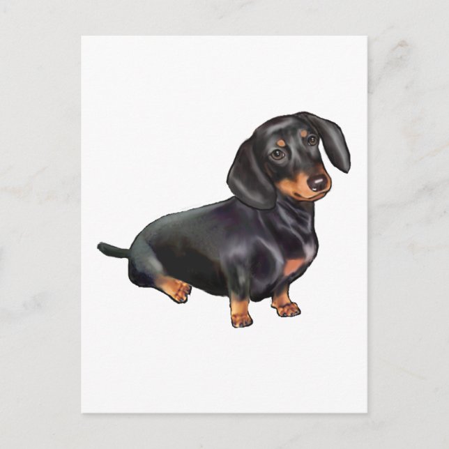 Carte Postale Dachshund (A) - Noir et feu (Devant)