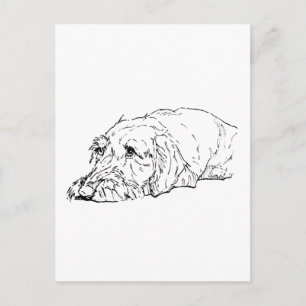 Carte Postale Dachshund à poil dur - Mignon
