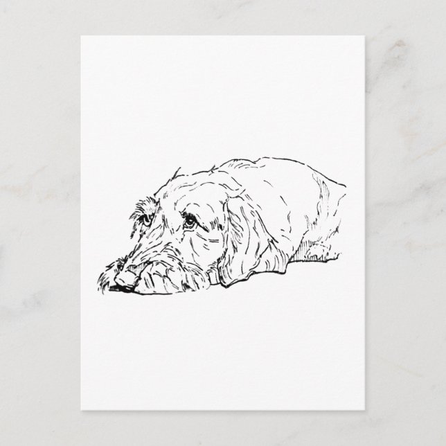 Carte Postale Dachshund à poil dur - Mignon (Devant)