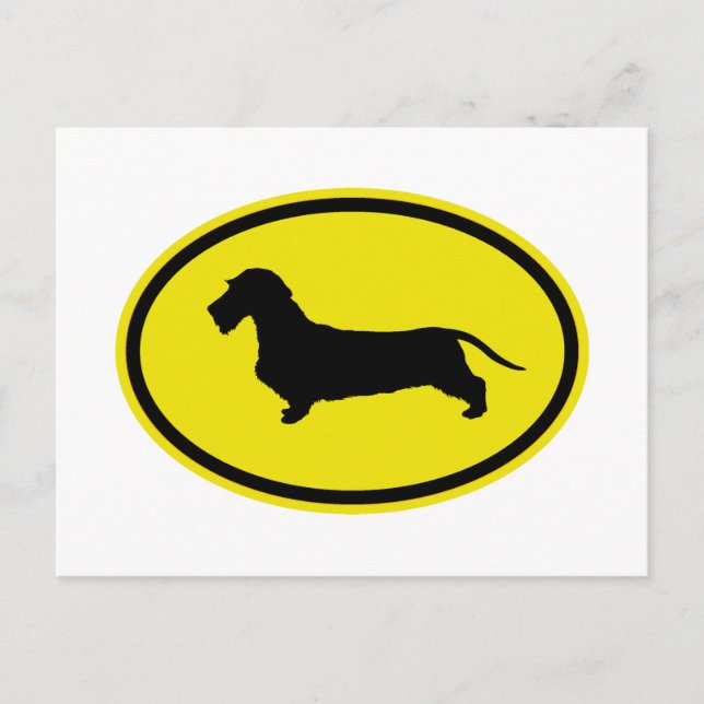 Carte Postale Dachshund À poils durs (Devant)