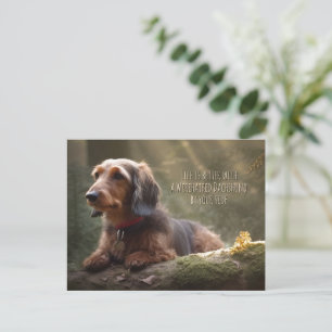 Carte Postale Dachshund à poils durs en forêt