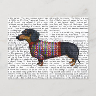 Carte Postale Dachshund Avec Sweat Laineux