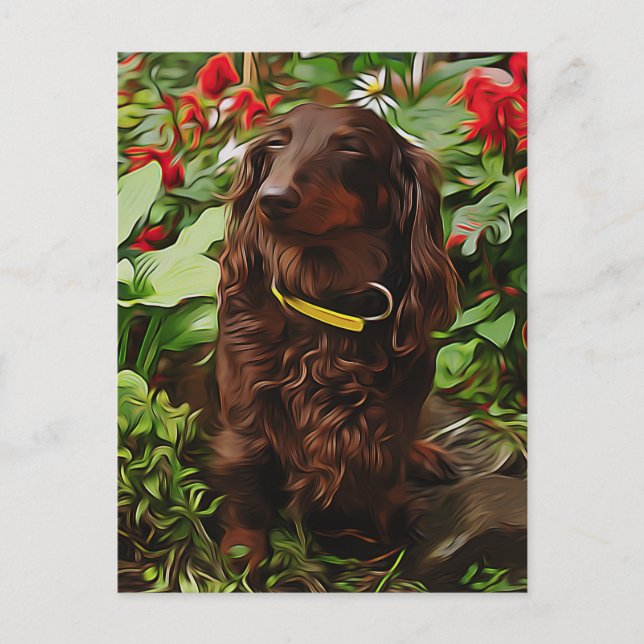 Carte Postale Dachshund Brown Assis Dans Le Jardin Avec Fleur (Devant)