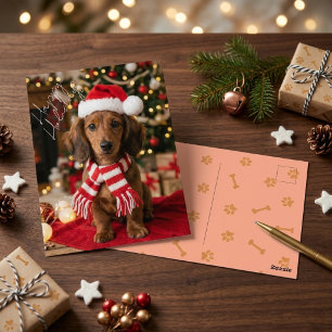Carte Postale Dachshund Brun de Fête Vêtements de Noël Chien de