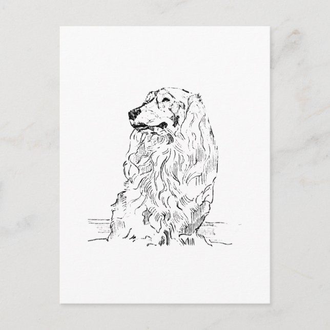 Carte Postale Dachshund – Chien Saucisse à Poil Long (Devant)