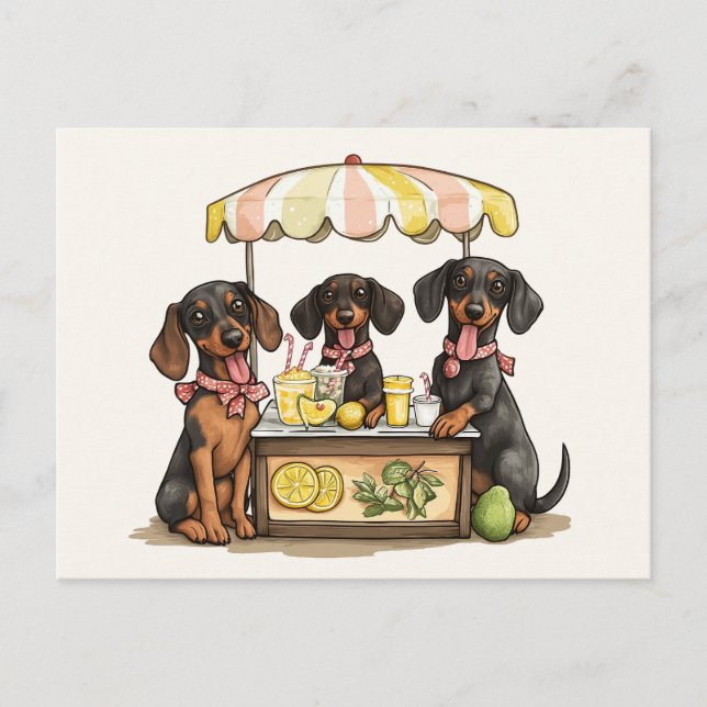 Carte Postale Dachshund Chiens Lemonade Stand (Devant)