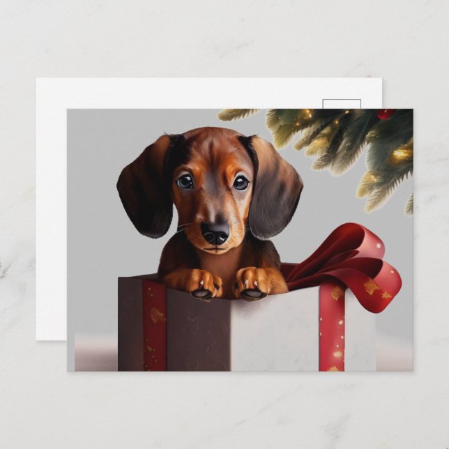 Carte Postale Dachshund Chiot Noël Surprise (Devant / Derrière)