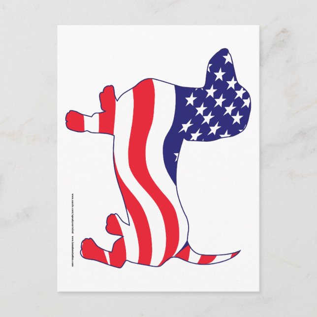 Carte Postale Dachshund dans le drapeau américain (Devant)