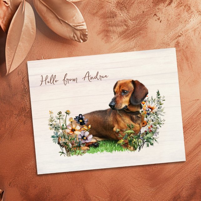 Carte Postale Dachshund dans les fleurs sauvages Bonjour de la c (Créateur téléchargé)