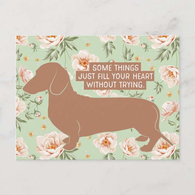 Carte Postale Dachshund Doxie Teckel Citation d'illustration (Devant)