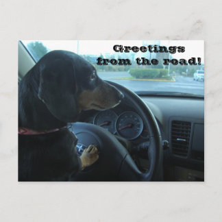Carte Postale Dachshund-Driven Postcard