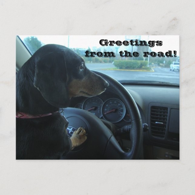 Carte Postale Dachshund-Driven Postcard (Devant)