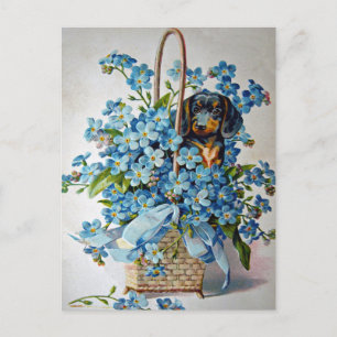 Carte Postale Dachshund et Forget-Me-Nots