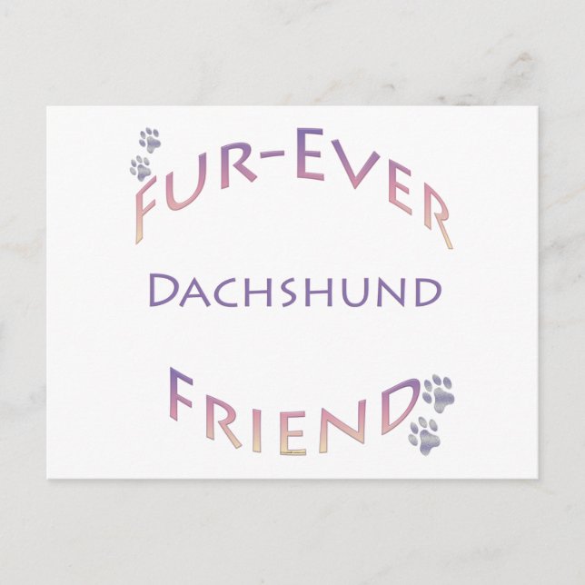 Carte Postale Dachshund Furever (Devant)