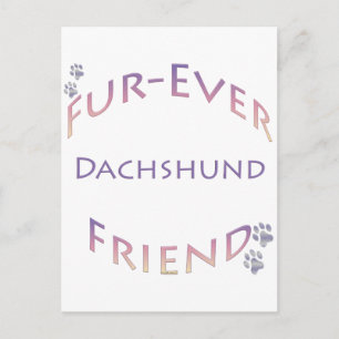 Carte Postale Dachshund Furever