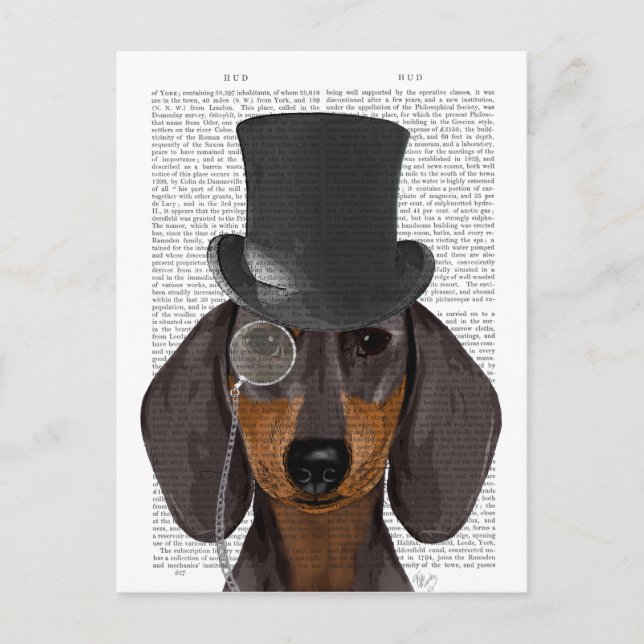 Carte Postale Dachshund, Hound et Casquette (Devant)