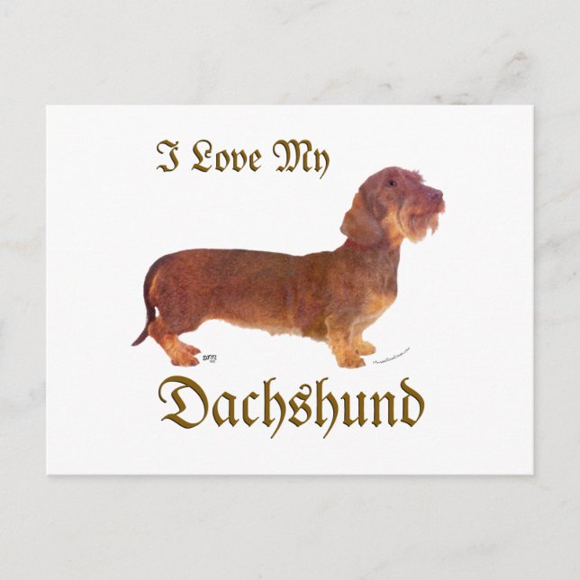 Carte Postale Dachshund Love (Devant)