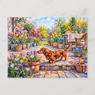 Carte Postale Dachshund marchant à travers la floraison printani