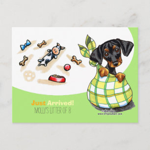 Carte Postale Dachshund Nouveau Chiot Social