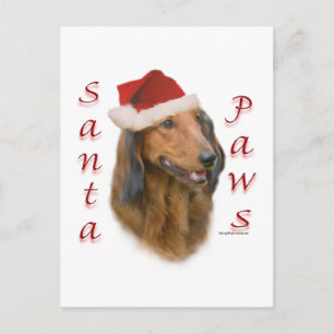 Carte Postale Dachshund Paws - Longhair