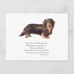 Carte Postale Dachshund Pont de l'Arc-en-Ciel