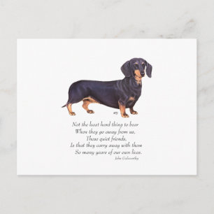 Carte Postale Dachshund Pont de l'Arc-en-Ciel