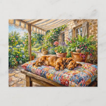 Dachshund se reposant sur un banc de jardin en pat
