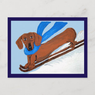 Carte Postale Dachshund Skieur