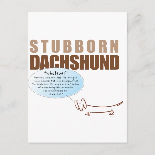 Carte Postale Dachshund têtu..QUOI QU'IL EN SOIT ! (Devant)