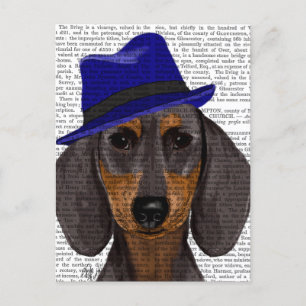Carte Postale Dachshund With Blue Trilby
