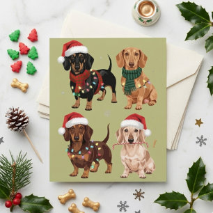 Carte Postale Dachshunds de fête Chiens de Noël en chapeaux de P