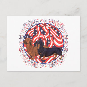 Carte Postale Dachshunds Drapeau Patriotique