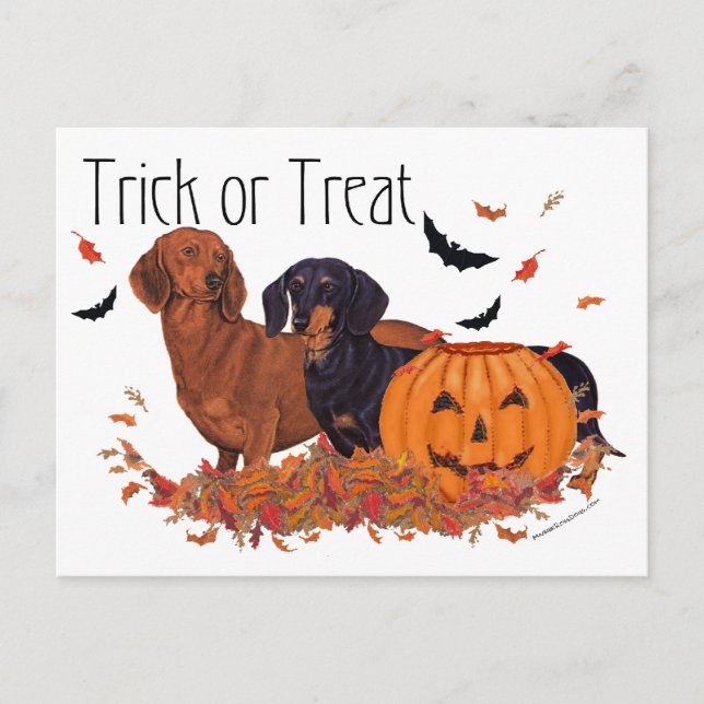 Carte Postale Dachshunds Halloween (Devant)
