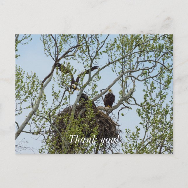 Carte Postale Daddy Home (Devant)