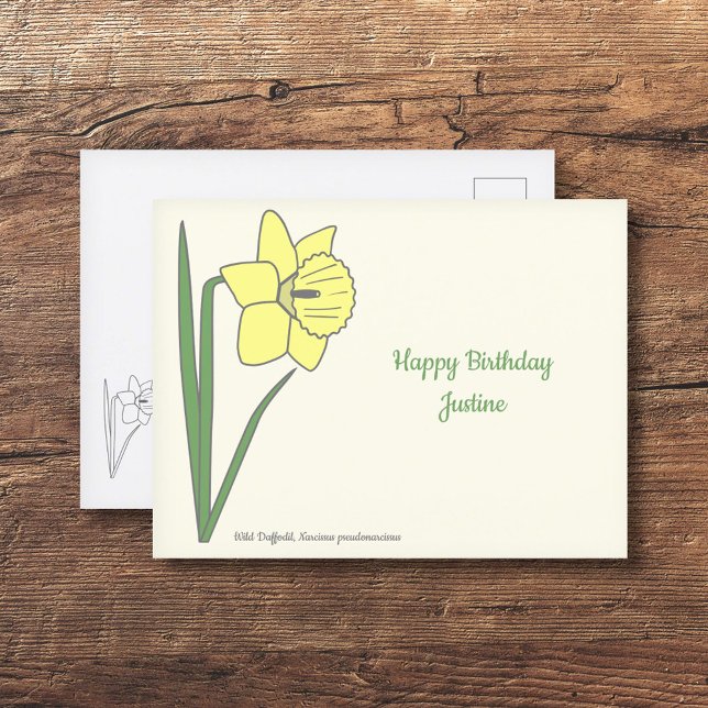 Carte Postale Daffodile botanique Pastel Flower (Botanical Daffodil Postcard)