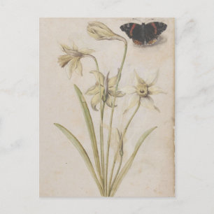 Carte Postale Daffodiles et papillon de l'amiral rouge de Morgue